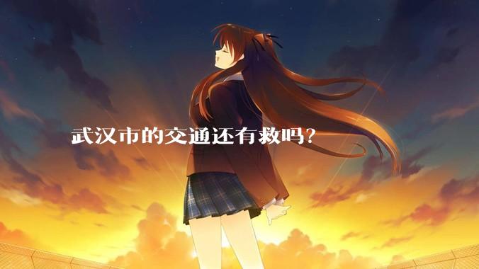 武汉市的交通还有救吗？